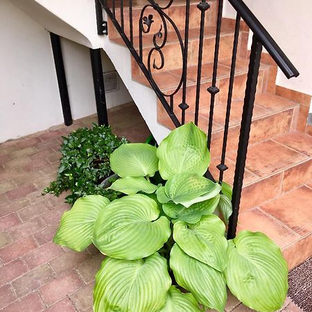 Apartmany U Vavrince Sušice Dış mekan fotoğraf