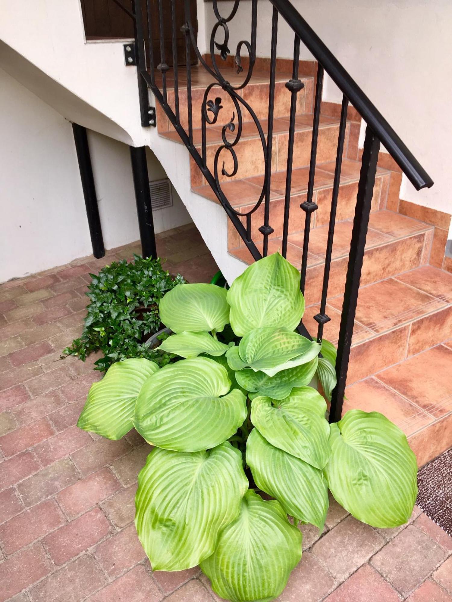 Apartmany U Vavrince Sušice Dış mekan fotoğraf